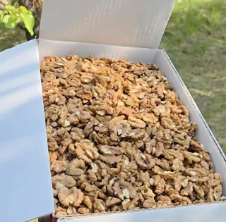 مغز گردو صبحانه(اقتصادی) بصورت عمده