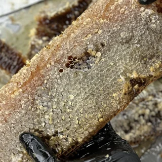 عسل طبیعی آذربايجان