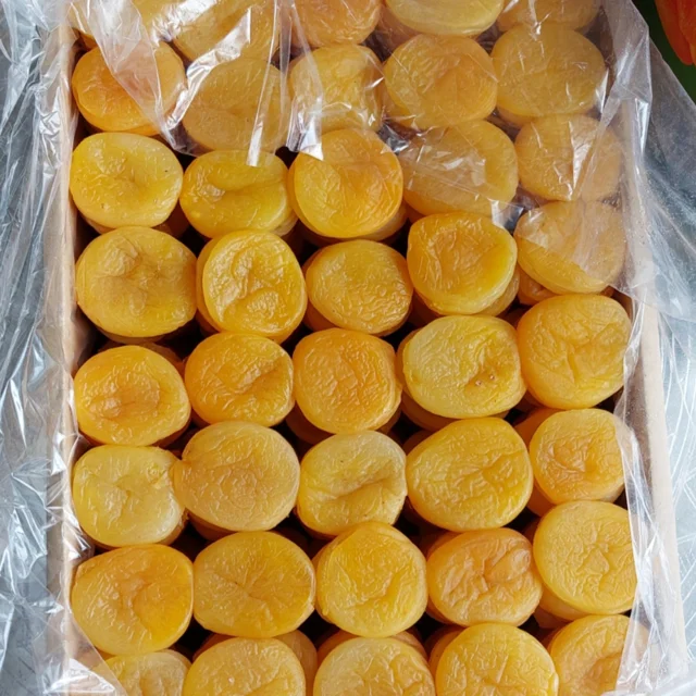 قیسی سکه ای ردیفی ۸×۵ کارتن ۵ کیلویی